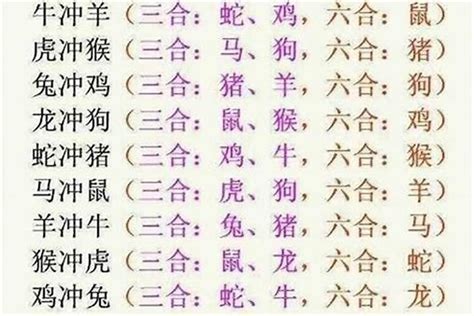 生肖 三合|《易经》十二生肖三合、六合解析！